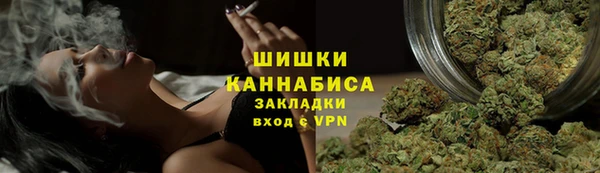 дмт Козловка