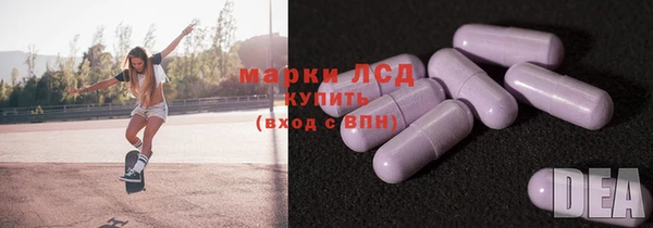 молекула духа Заполярный