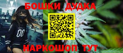 амф Бийск