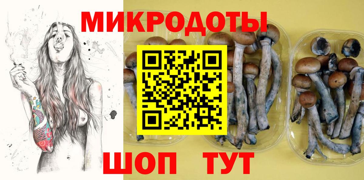 ГАШ Людиново