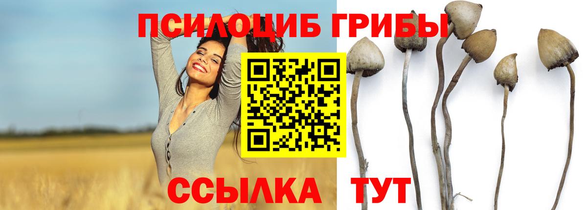 Псилоцибиновые грибы мухоморы  Вход с VPN  Людиново  Псилоцибиновые грибы MAGIC MUSHROOMS 